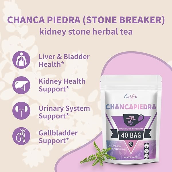 CATFIT CHANCA PIEDRA HERBAL TEA FOR LIVER, BLADDER & KIDNEY HEALTH, URINARY SYSTEM & GALLBLADDER CARE – CAFFEINE-FREE, NON-GMO – 40 TEA BAGS OF DRIED CHANCAPIEDRA LEAVES