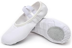 CHAOSLOOK Canvas Ballet Dance Shoes Girls Womens Ballet Shoes Stretch Split Sole for Perform Dance Yoga
