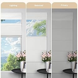 MoDanCeQ Blackout Light Filtering Cordless Top Down