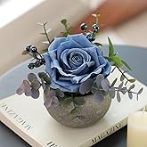 mizii DIY Small Artificial Flowers Potted Kit Fake Flower Realistic Silk Rose and Greenery with Vase for Gifts Table Centerpiece Mantle Office Desk Shelves Living Room Decorations (Navy Blue)
