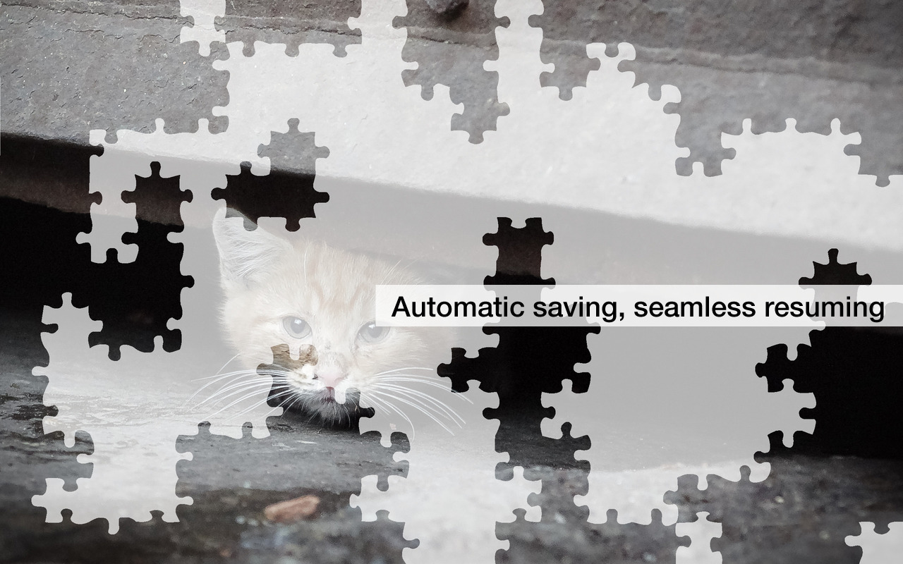 More Kitten Jigsaw Puzzles - Thumbnail 5