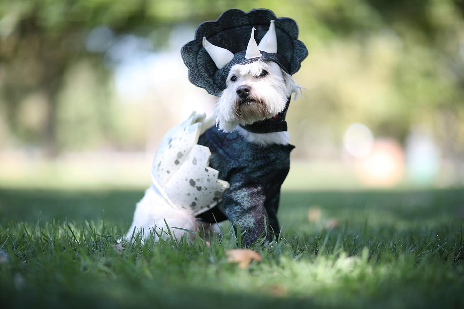 womens puppy costume