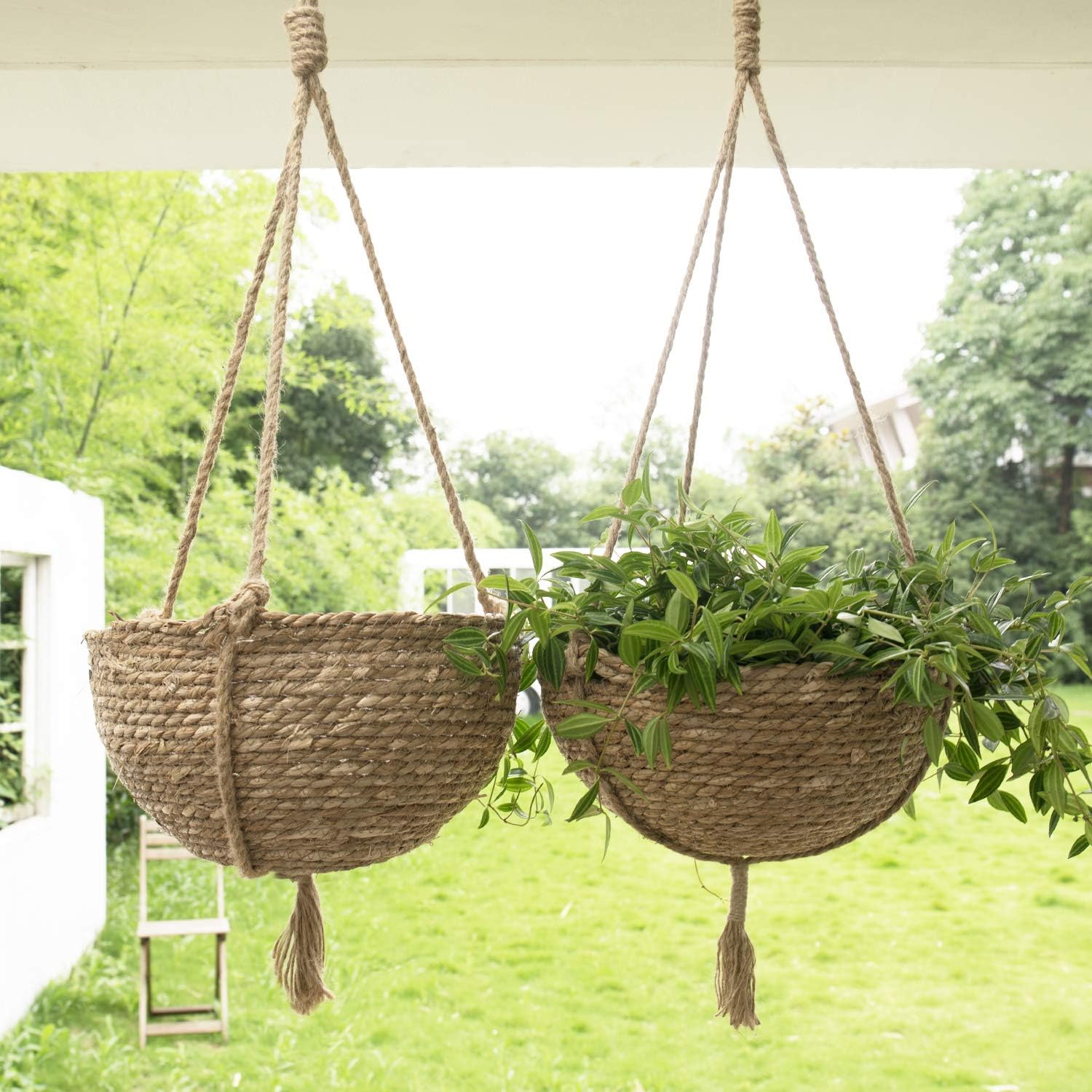 Natural Seagrass Hanging Planter Basket Set, Indoor Plant Pots, Boho Decor Plant Pot Cover, 12.4 (D) 6.3 (H) Inch, Pack 2 : Kitchen & Dining