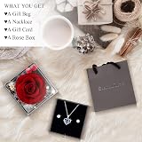 CSYY Eternal Preserved Rose with Necklace & Earrings Gift Set for Her view 4