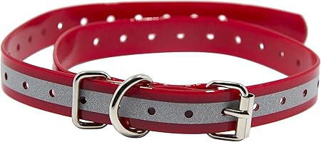 sportdog replacement collar amazon