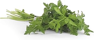 Herb Parsley Italian Conventional, 1 Bunch