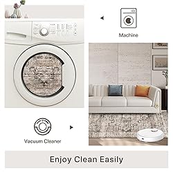GENIMO 6x9 Area Rugs for Living Room, Machine