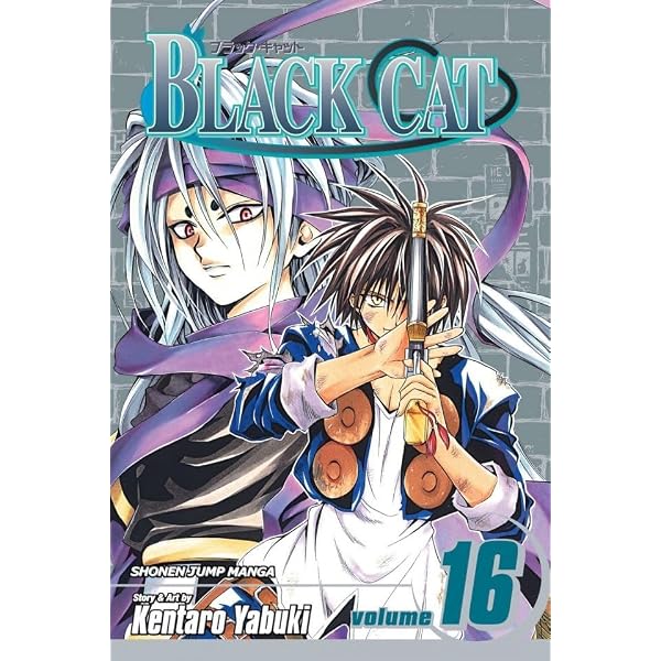 Amazon.com: Black Cat, Vol. 18: Guiding Light eBook : Yabuki