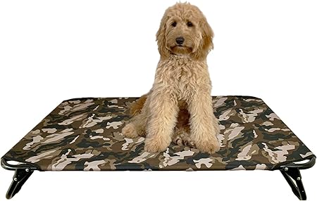 collapsible raised dog bed