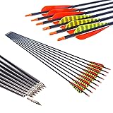 Pinals Archery 340 400 500 Spine Carbon Arrows for