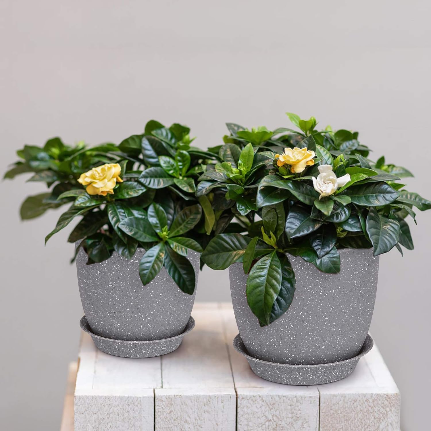 Plastic Planter, HOMENOTE 7/6/5.5/4.8/4.5 Inch Flower Pot Indoor Modern Decorative Plant Pots with Drain Hole and Saucer for All House Plants, Succulents, Flowers, Speckled Gray: Kitchen & Dining