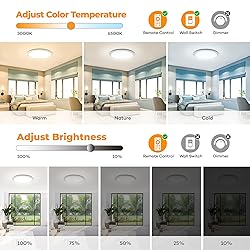 BLNAN RGB Led Flush Mount Ceiling Light with Remote