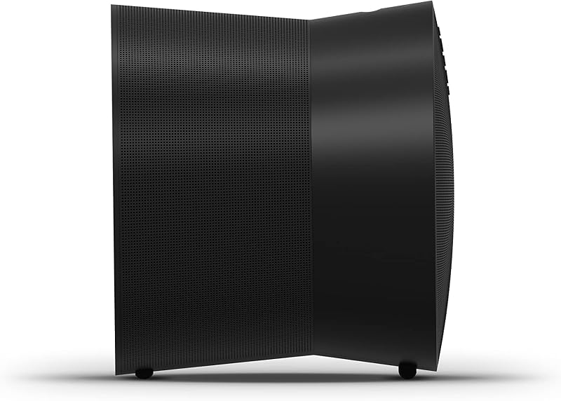 Era 300 | Smart Speaker mit Dolby Atmos, WLAN & Bluetooth – Schwarz