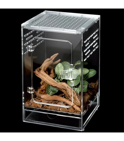 10 Gallon Reptile Tank 12x8x6