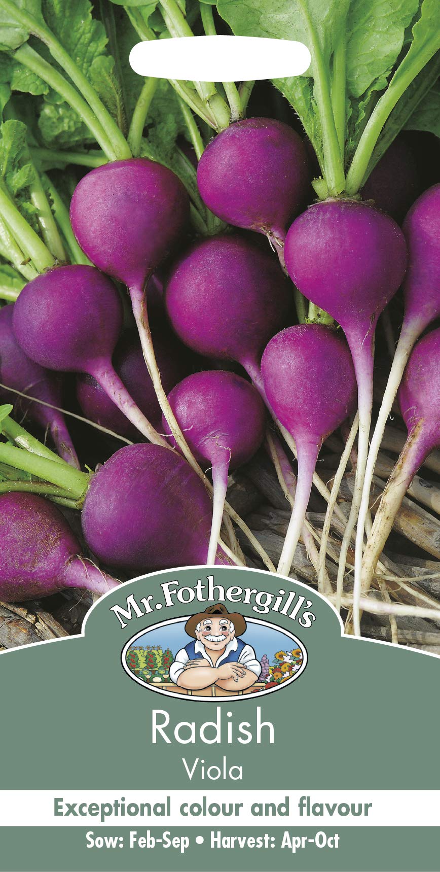 Mr Fothergill's 11721 Vegetable Seeds, Radish Viola, Violet, 0.4 x 7.5 x 14.5 cm