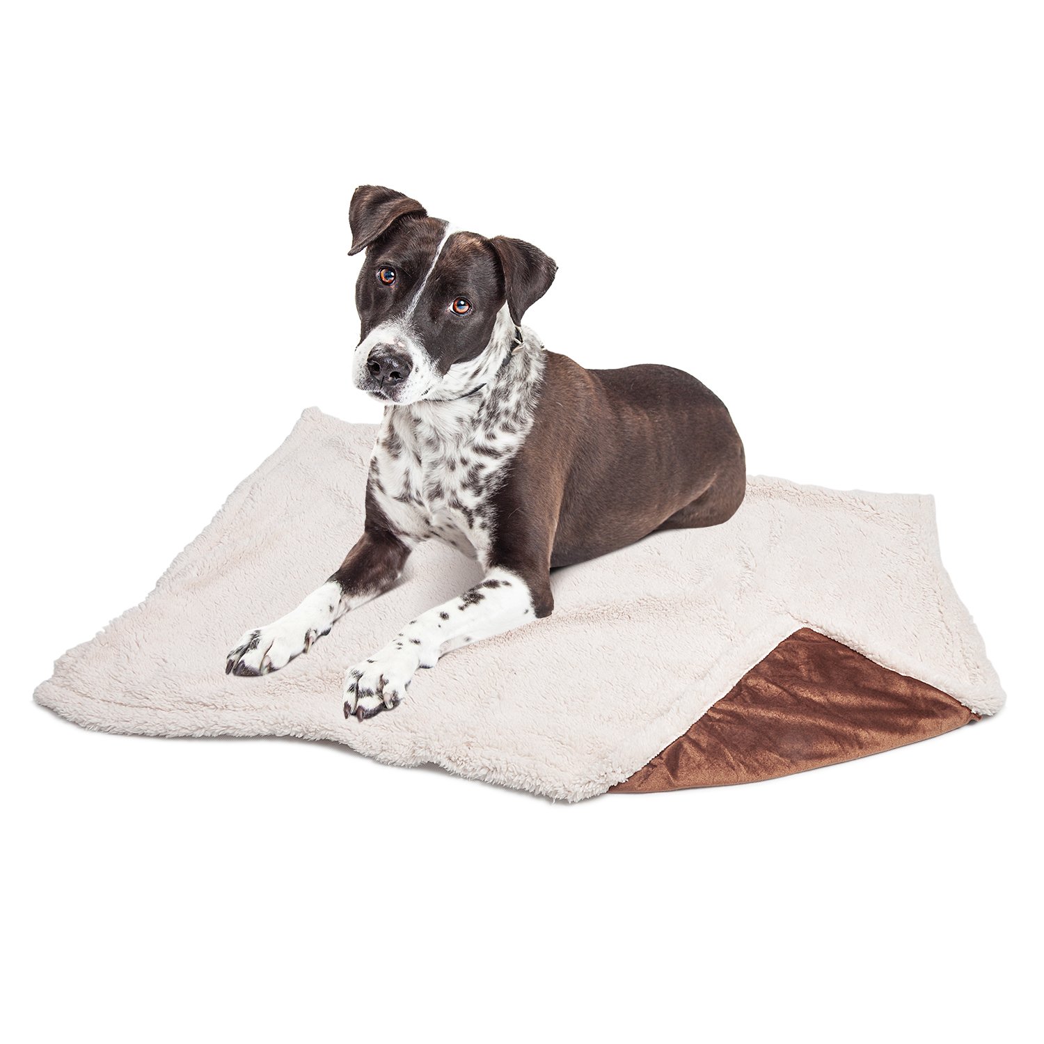Puppy Blanket,Super Soft Sherpa Dog Blankets and Throws Cat Fleece Sleeping Mat for Pet Small Animals 45x30 Brown
