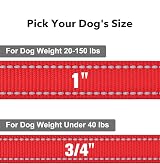 Taglory Dog Leads for Small Medium Dogs Reflective Padded Handle 2cm x 120cm Red view 4