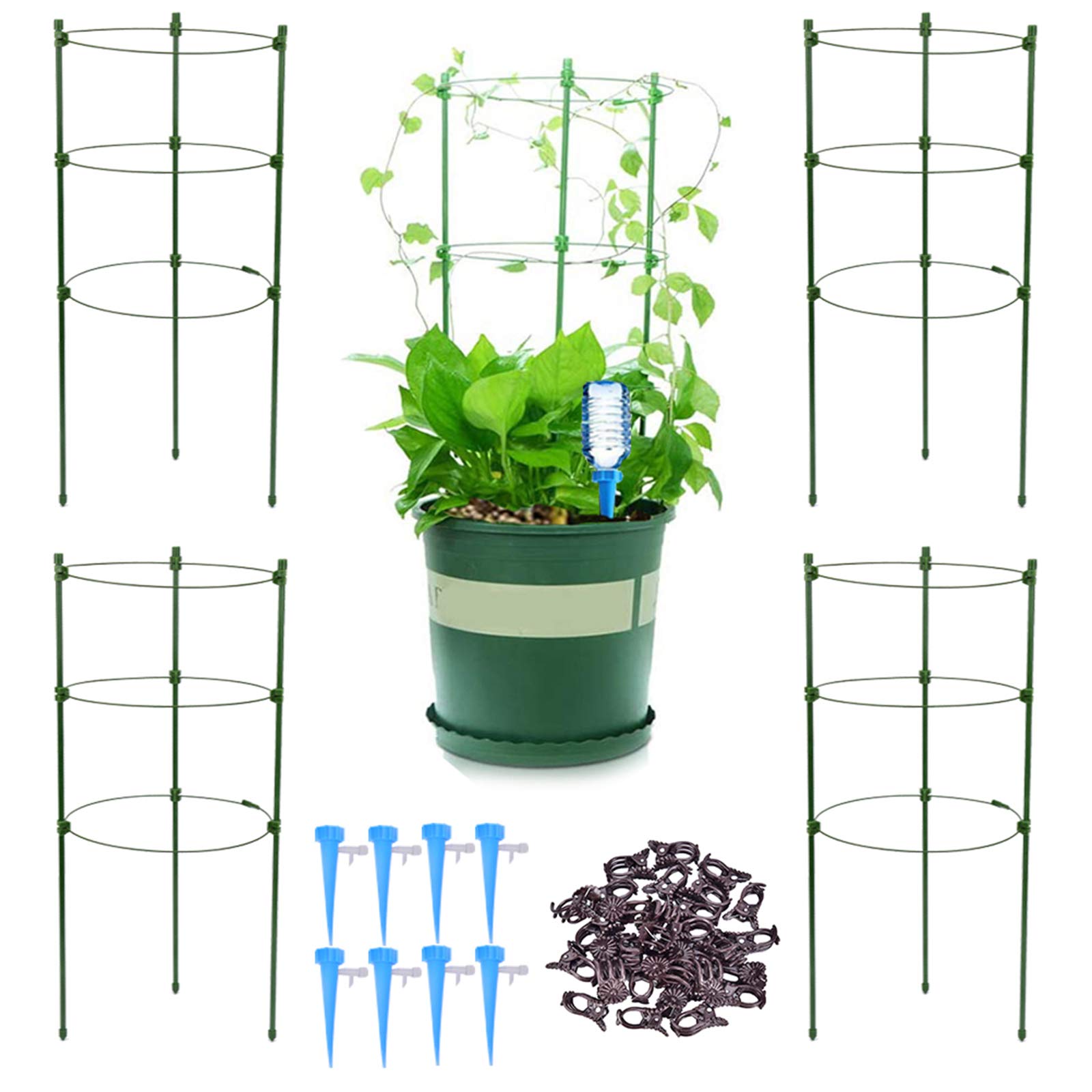 Buy QUECAOCF 4 Pack 24" Trellis Garden Support Tomato Cage with Adjustable Rings, Upgrade