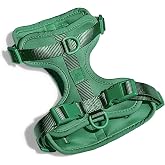 Wild One Harness 2.0 - Small - Spruce