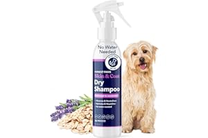 Honest Paws Dog Dry Shampoo - Waterless No Rinse Foaming Formula Reducing Itch Cleanse Hydrate Nourish Dry Skin and Smelly Coat Help Decrease Odor Shedding and Allergies - Oatmeal & Lavender - 8 fl oz