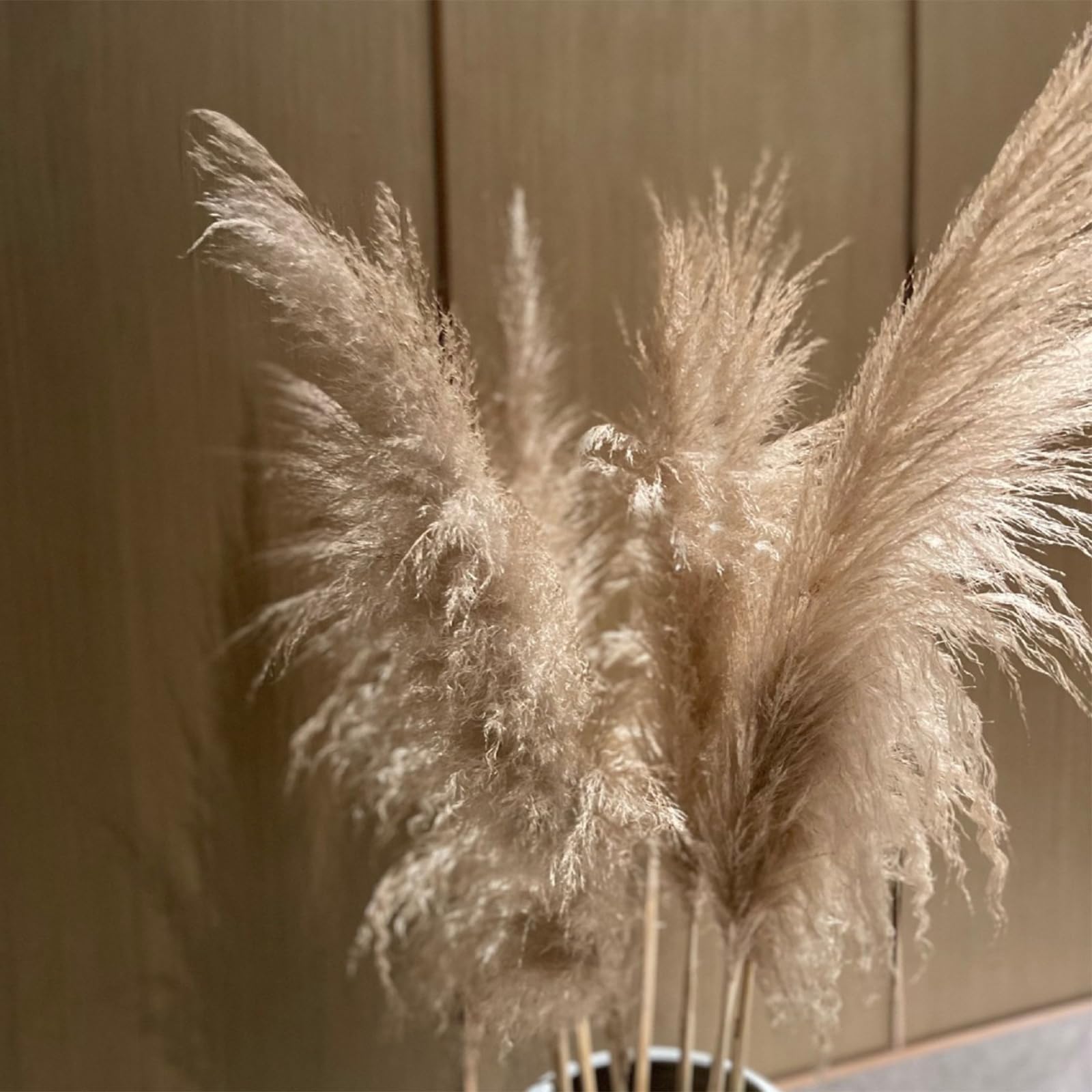 Photo 1 of 12 Stems 28” inch Fluffy Brown Pampas Grass Decor Tall - Natural Dried Pampas Grass, Large Pompas Grass, Dry Pampas Bulk for Living Room Decor, Boho Home Decor , Wedding Decor , Gift( Male )