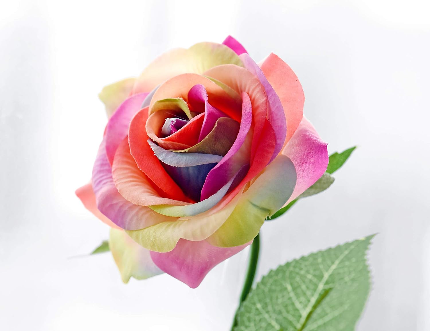 FiveSeasonStuff 10 Stems Real Touch Roses Artificial Flower Silk Roses ‘Petals Feel and Look like Fresh Roses' Bouquet of Flowers Floral Arrangements (Rainbow #17) - Image 3