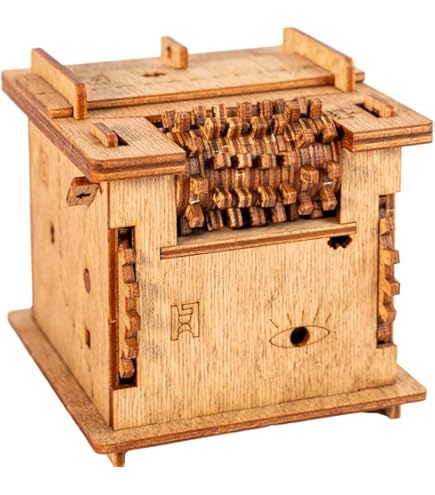 Amazon.com: Recent Toys Constantin Puzzle Box #3 - Find The Hidden