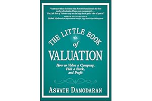 The Little Book of Valuation: How to Value a Company, Pick a Stock and Profit