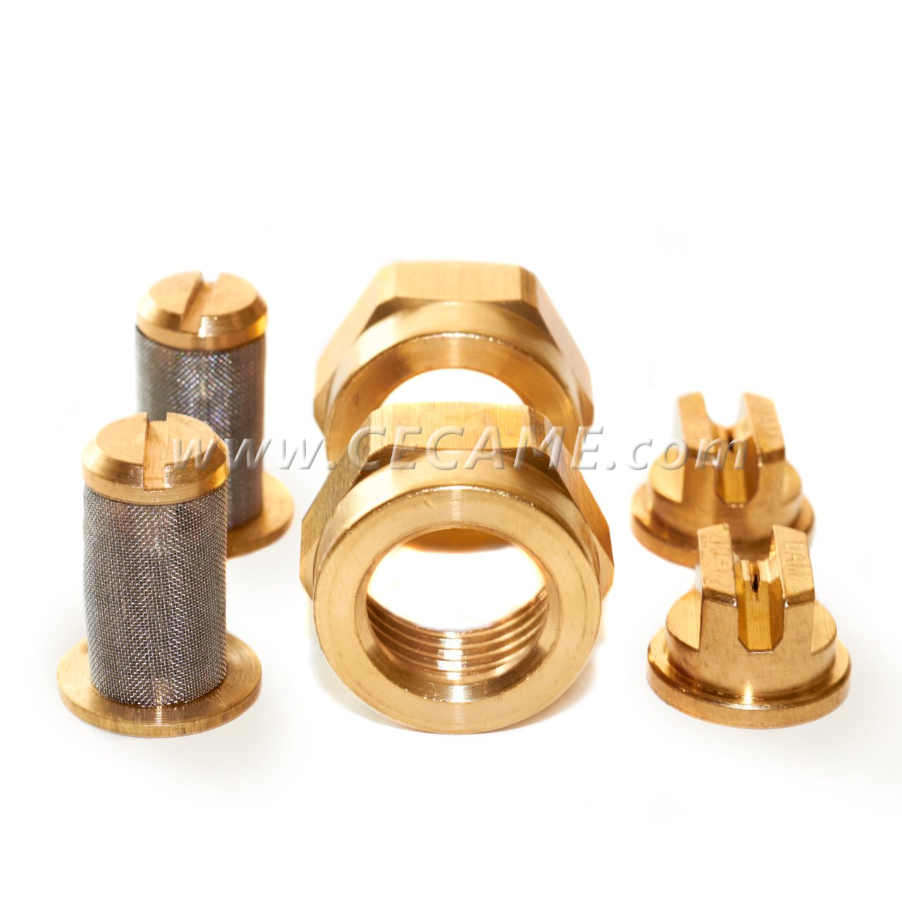 Best Carpet Cleaning Check Valve