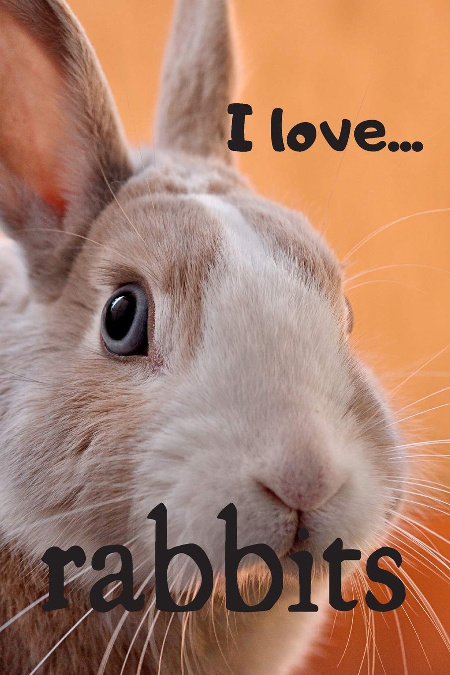 rabbit love