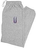 LOGOVISION University of Albany Primary Logo Mens