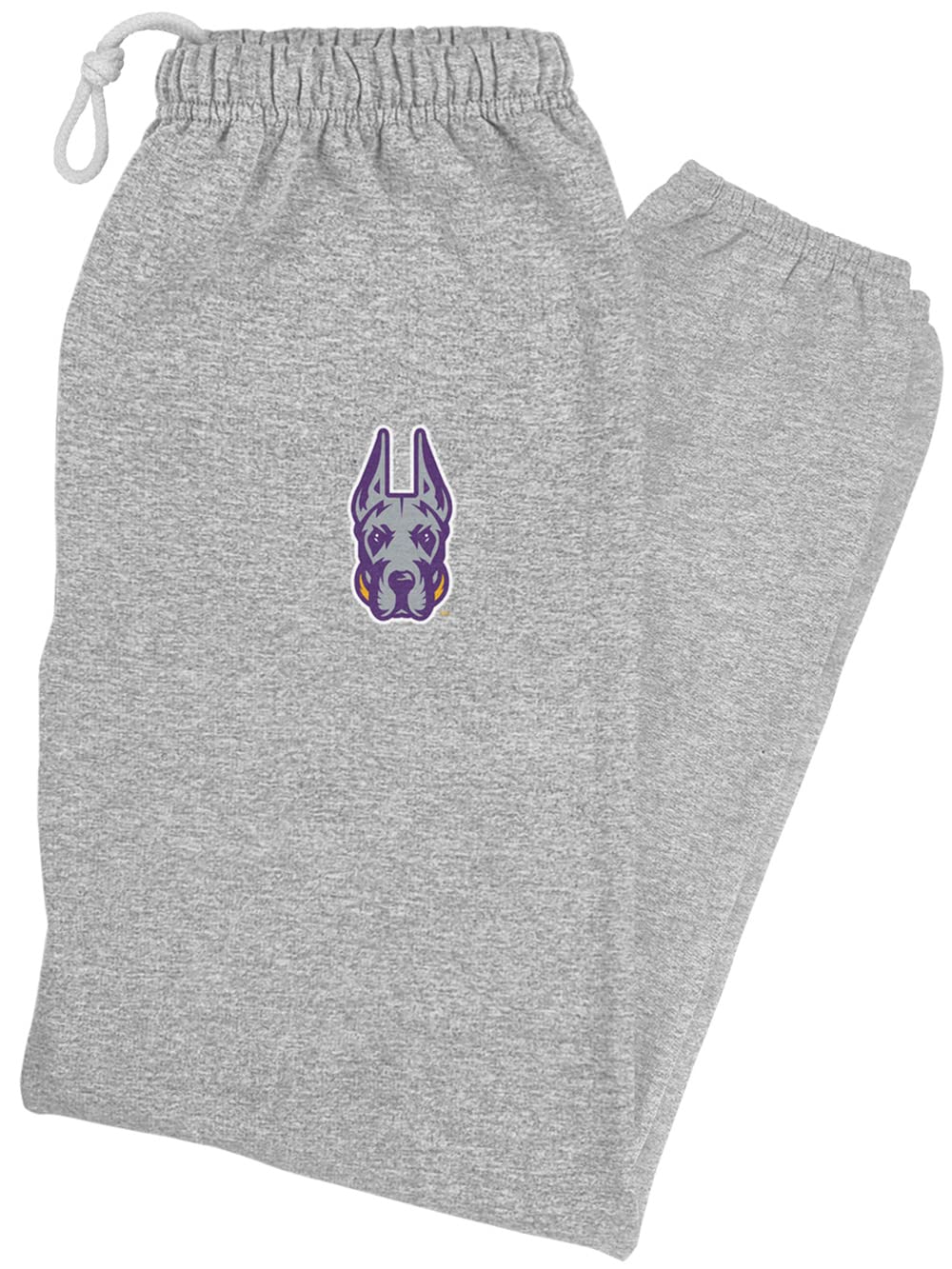 LOGOVISION University of Albany Primary Logo Mens