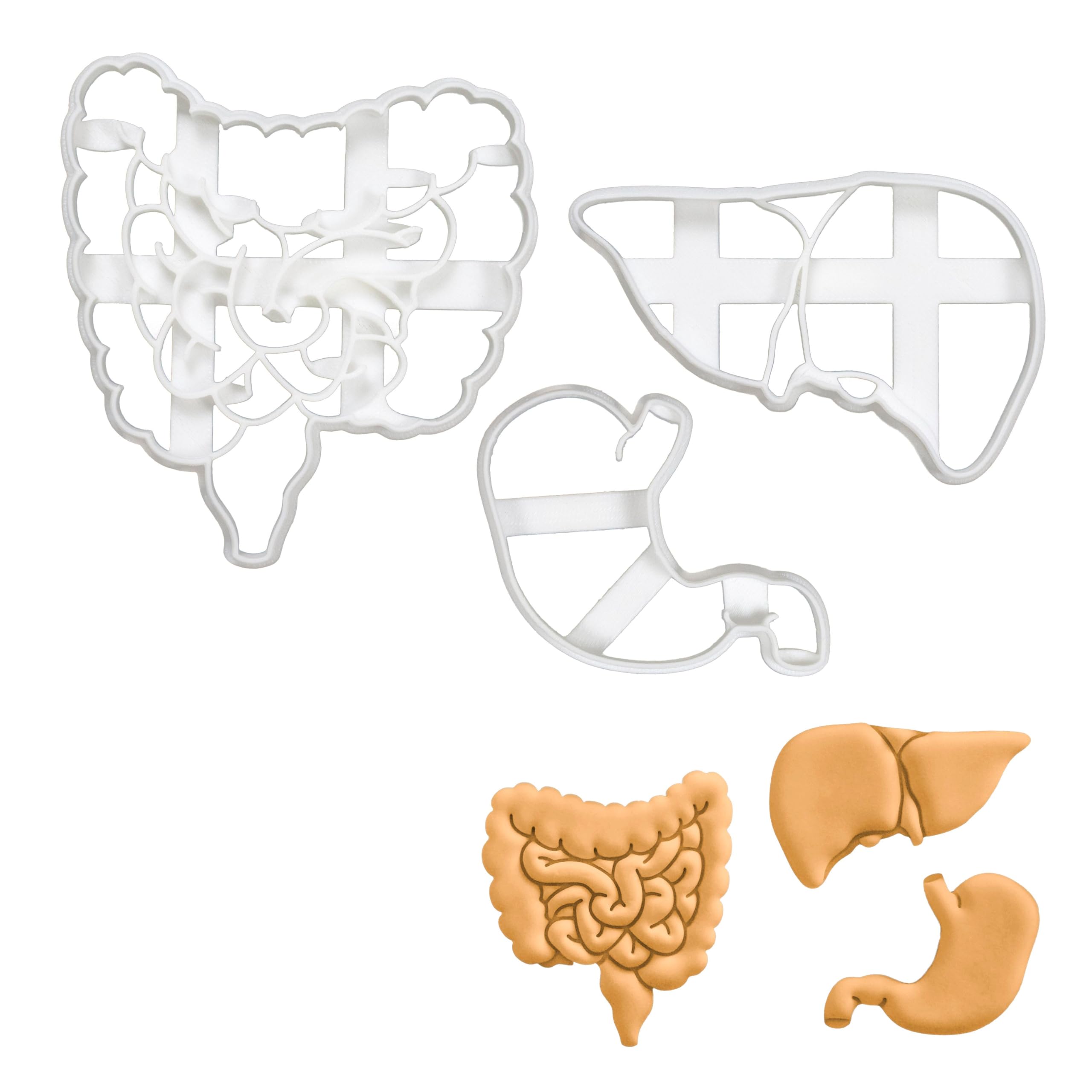 BAKERLOGY Set of 3 Gastrointestinal Anatomy Cookie Cutters (Designs: Intestines, Liver and Stomach) - Detailed Biscuit Cutter Design for Baking and Crafts, Ideal on Fondant, Dough, Clay