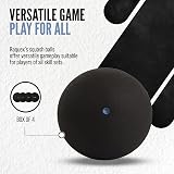 Raquex Progression Squash Balls Mixed Box of 4 – Four Speeds Included view 4