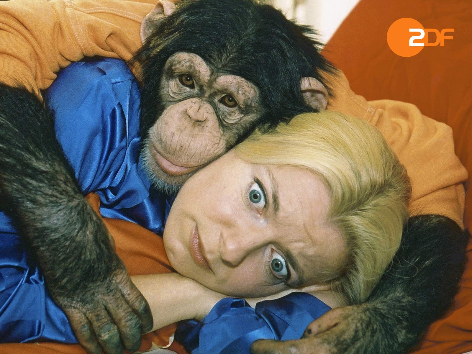 Amazon de Unser Charly Staffel 10 Ansehen Prime Video amazon-de-unser-charly-staffel-10-ansehen-prime-video