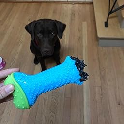 kong core strength bone review