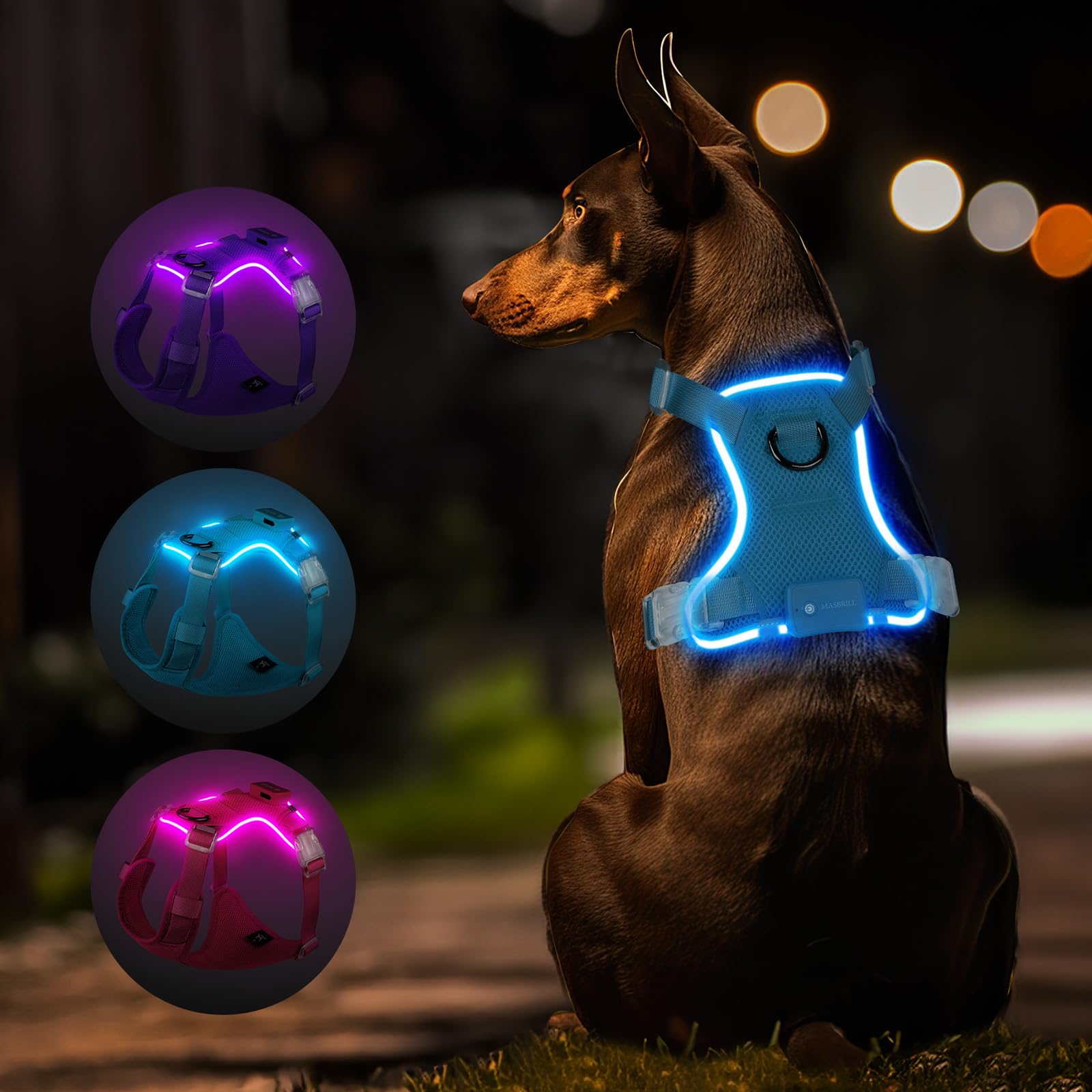MASBRILL Light Up Harness, Rechargeable LED Dog Harness for Puppy to Large Dog, 7 Colors, 18 Lighting Modes, Glowing, Adjustable, Waterproof for Night Walking (Blue,XS)