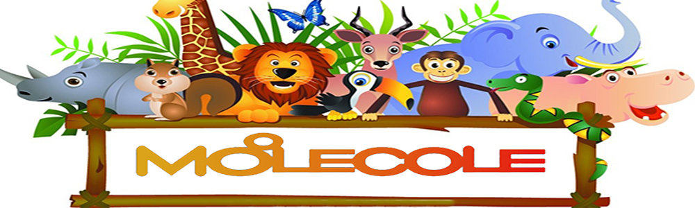 6 MOLECOLE+22pcs+Animal+Finger+Puppets