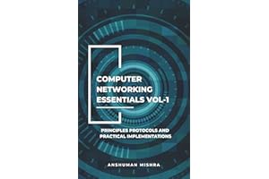 Computer networking essentials VOL-1: Principles protocols and practical implementations (computer basic)