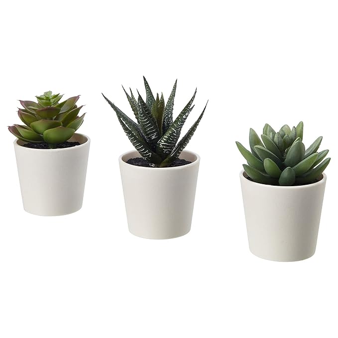 Ikea FEJKA Artificial Potted Plant with Pot, in/Outdoor Succulent, 6 cm 3 Pack (2 3 Pack)