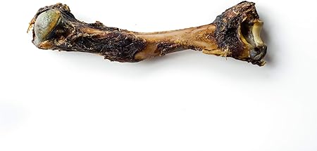 kangaroo ribs for dogs