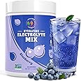 Vitalogix Naturals Replenisher Daily Electrolyte Drink Mix, Hydration Powder, Electrolytes & Trace Minerals Keto Friendly Vegan Non-GMO Sugar-Free (Large, Blueberry)