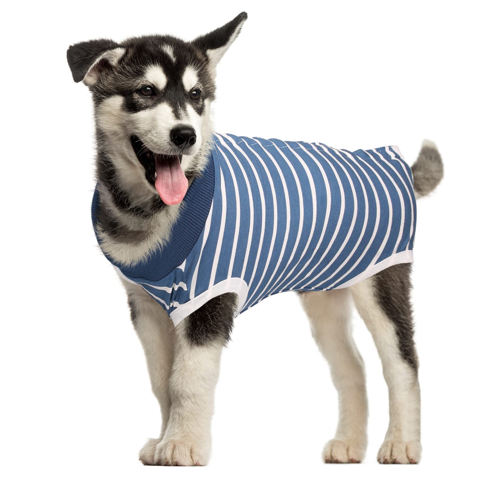 MI CASA Dog Recovery Suit Spay Suit for Female Male Dog Bodysuit After Surgery Onesie for Surgery Pet Vest Substitute Recovery Collars (Blue Striped, M)