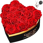 Casaido Preserved Roses Flowers for Delivery 16 Pcs, Vanlentines Day Gifts for Her, Forever Flores in Heart Box with Necklace, Anniversary Birthday Christmas Rose Gift for Women Wife Girlfriend, Red