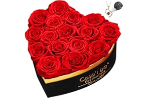 Casaido Preserved Roses Flowers for Delivery 16 Pcs, Forever Flores in Heart Box with Necklace, Eternal Rose Anniversary Birthday Gift for Women Wife Girlfriend, Rosas for Valentines Christmas, Red