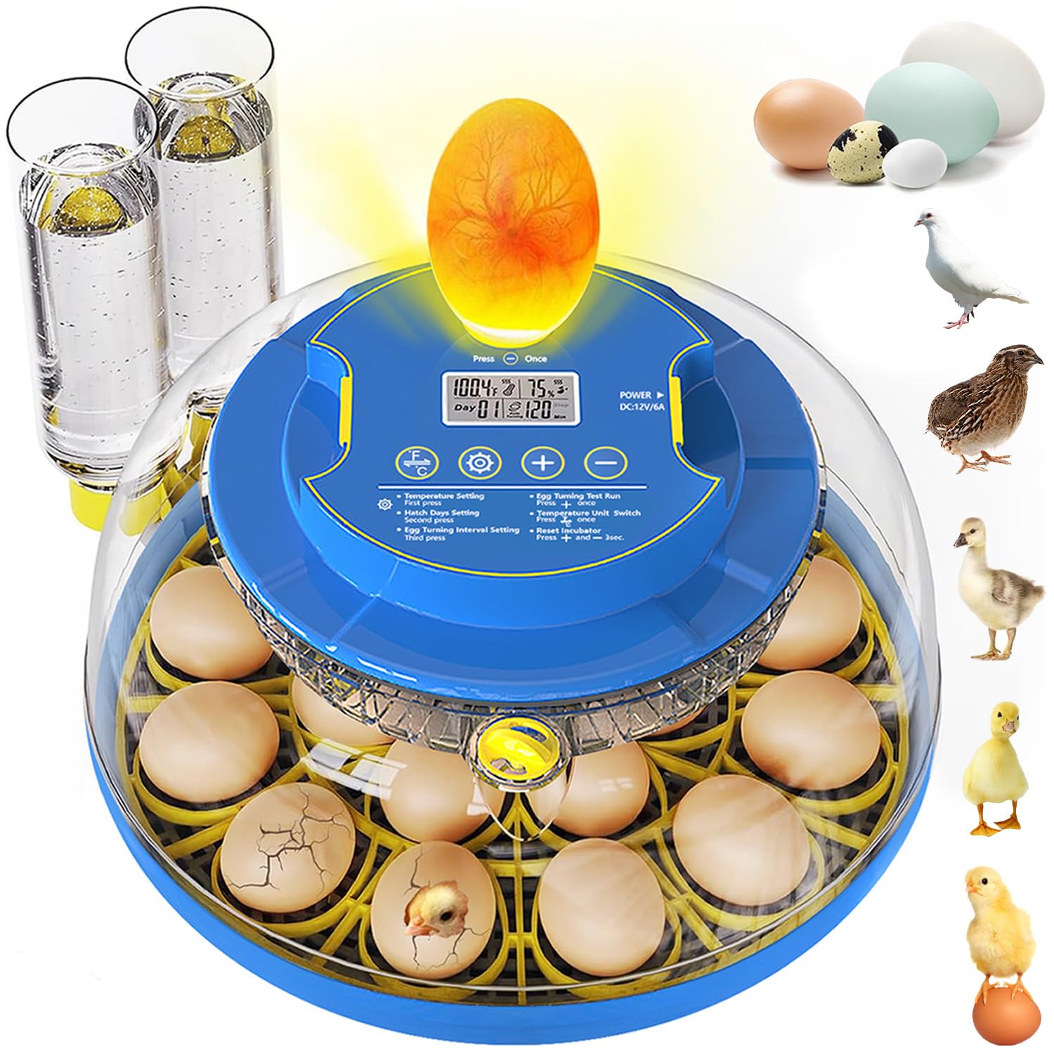 Photo 1 of 18 Egg Incubators for Hatching Eggs, Chicken Egg Incubator with Automatic Egg Turning & Humidity Control, 360° Viewing, Egg Candler, for Home, Farm, Classroom, Hatching Duck, Quail, Turkey, Goose