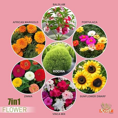 Kraft Seeds Flower Garden Series 7 Varieties in 1 Flower Seeds Special Pack