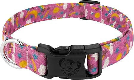 custom design dog collars