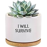 Loovelo I Will Survive Funny Gift to Plant Lovers Gardener Coworkers Friends Mom Dad Ceramic Succulent Plant Pot with Bamboo Tray Round Home Office Decor 3.5 Inch White (No Plants)