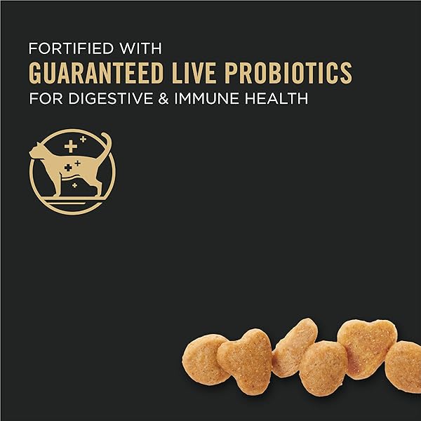 PURINA PRO PLAN WITH PROBIOTICS, SENSITIVE SKIN & STOMACH, NATURAL DRY CAT FOOD, TURKEY & OAT MEAL FORMULA – 3.2 LB.